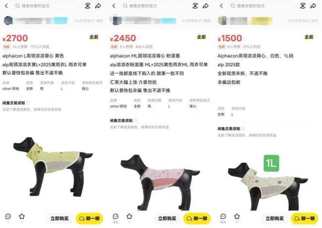 3000元一件 宠物服饰变金矿