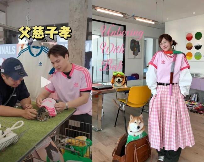 3000元一件 宠物服饰变金矿 市场潜力巨大