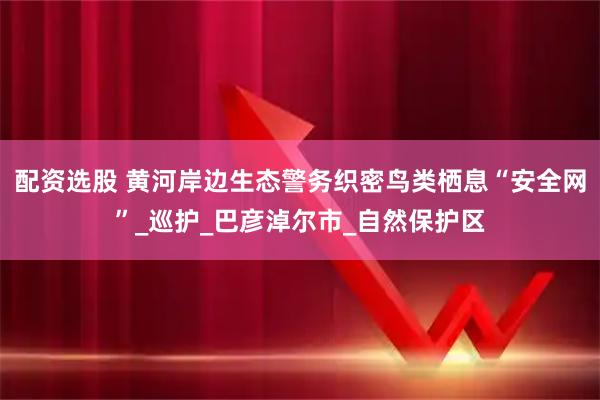 配资选股 黄河岸边生态警务织密鸟类栖息“安全网”_巡护_巴彦淖尔市_自然保护区